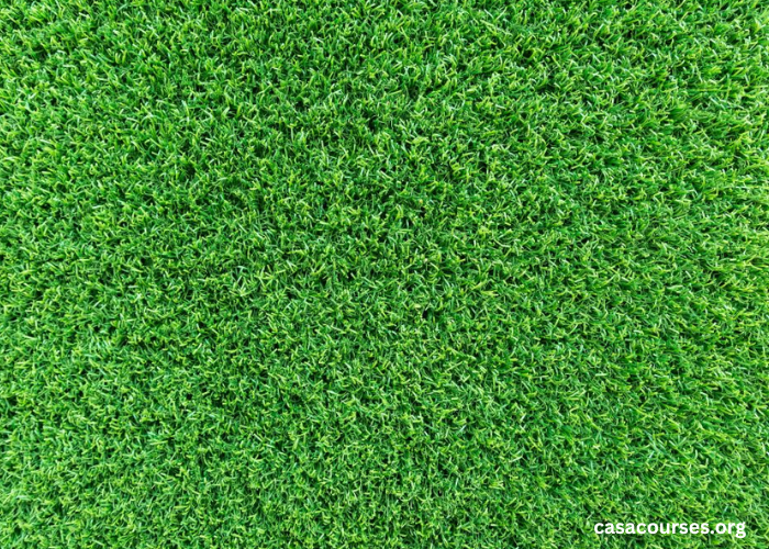 Turf Turf