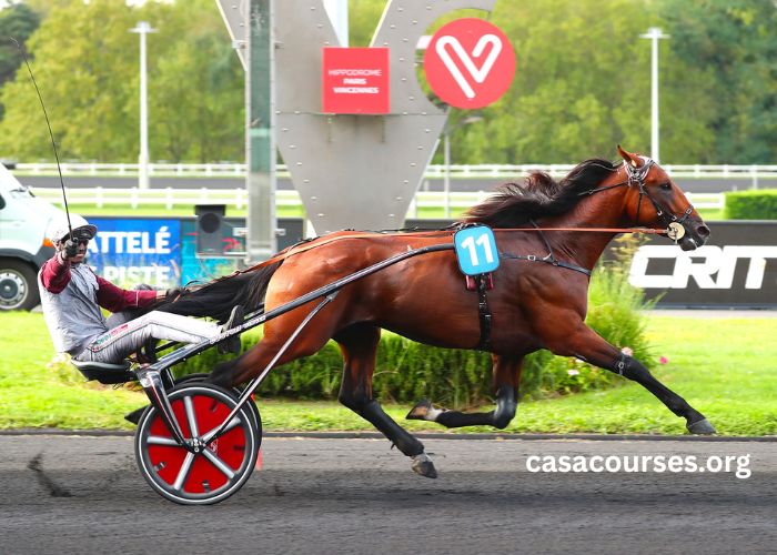 Canal Turf Résultat