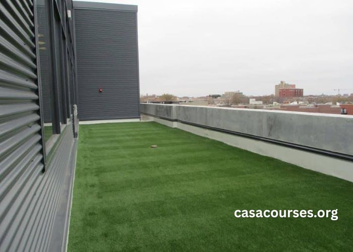 Capital Turf