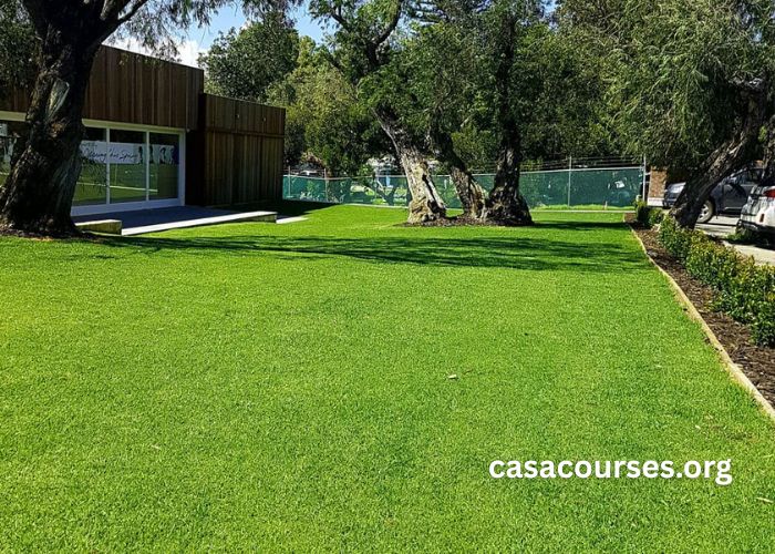 Blog Turf