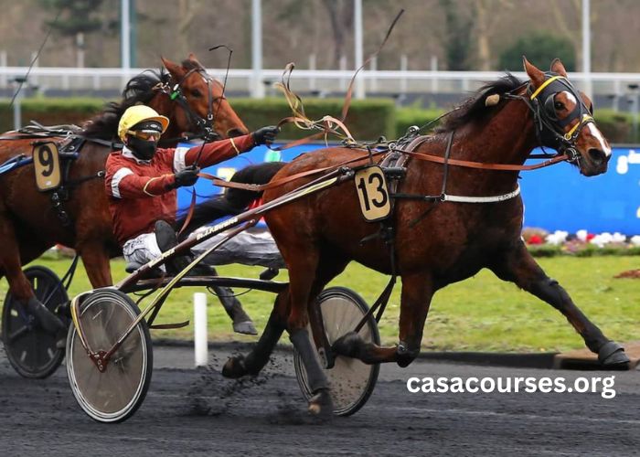 Foulon Turf