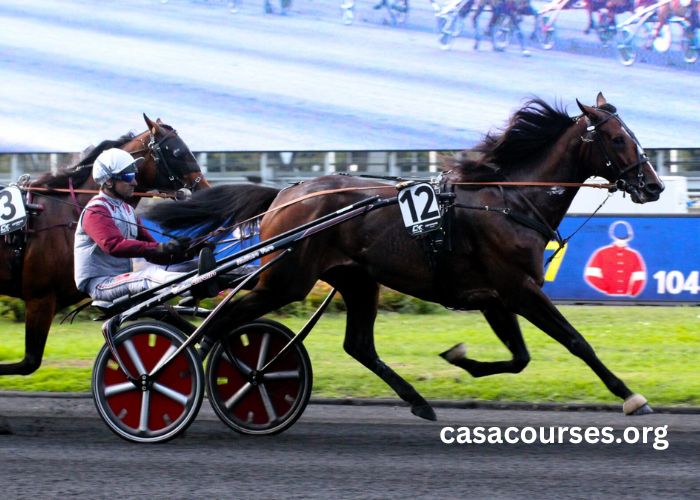 France Cheval Turf